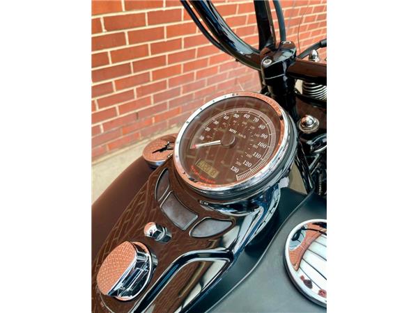 2011 HARLEY-DAVIDSON SOFTAIL FLSTSB CROSS BONES