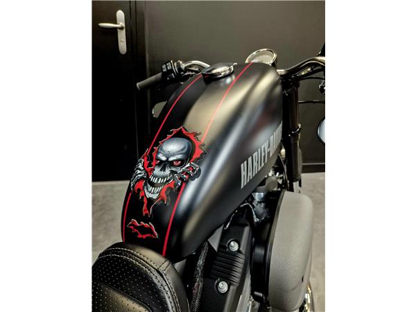 2019 HARLEY-DAVIDSON ROADSTER