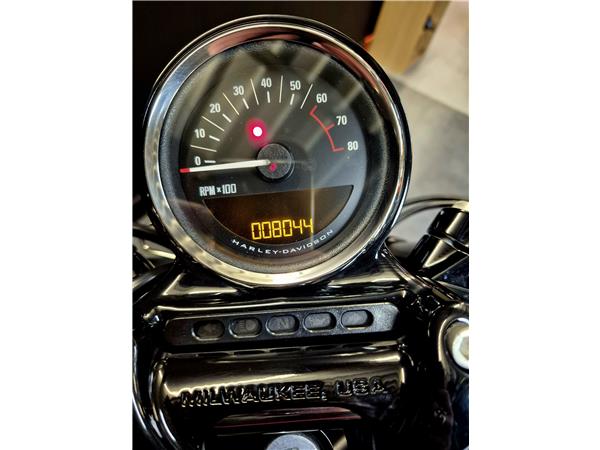 2019 HARLEY-DAVIDSON ROADSTER