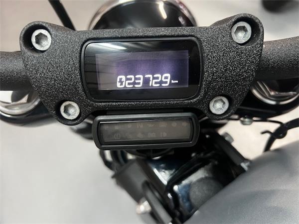 2019 HARLEY-DAVIDSON STREET BOB