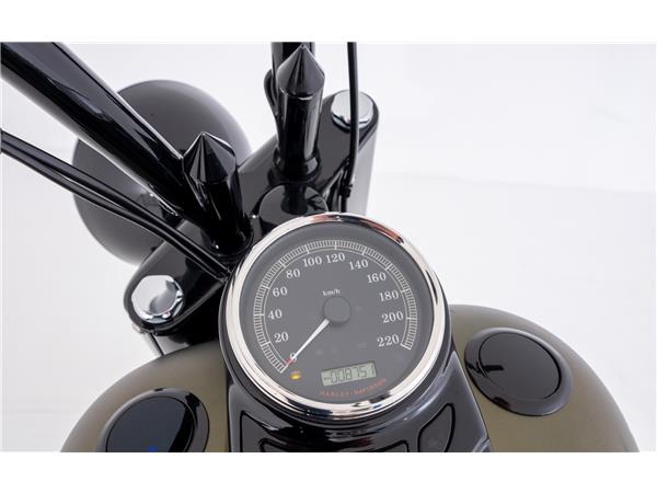 2016 harley-davidson FLSS Softail Slim S110 ABS