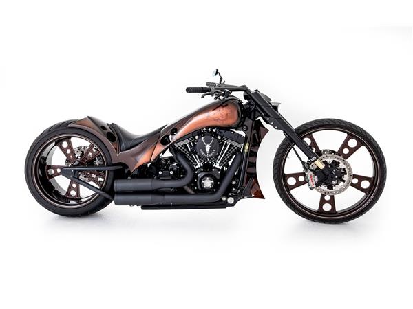 2015 harley-davidson FLSS Softail Slim S110 ABS