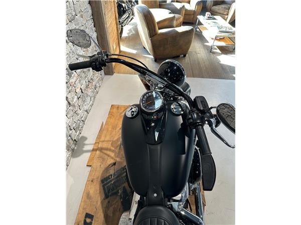 2018 harley-davidson FLSL Softail Slim S