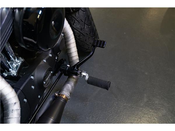 2016 harley-davidson XL 1200 X Forty Eight ABS