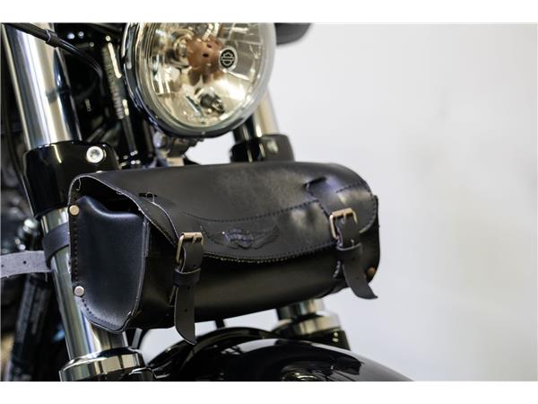 2016 harley-davidson XL 1200 X Forty Eight ABS