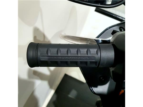 HARLEY-DAVIDSON LOW RIDER ST