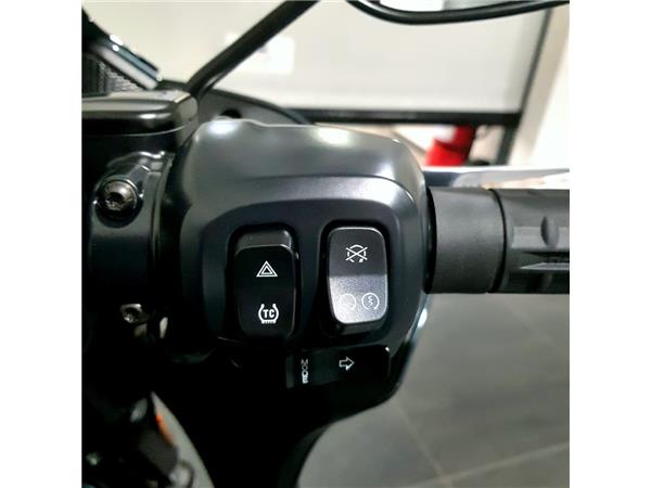 HARLEY-DAVIDSON LOW RIDER ST