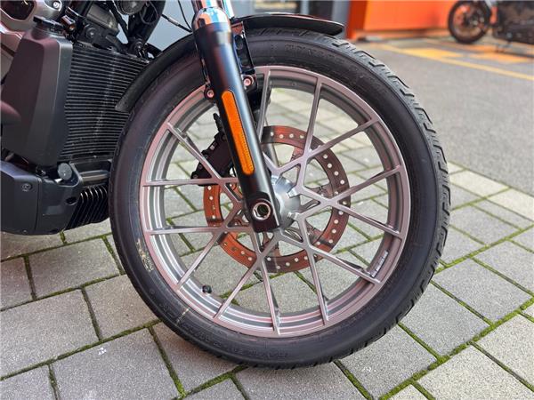 2025 Harley-Davidson Nightster Special