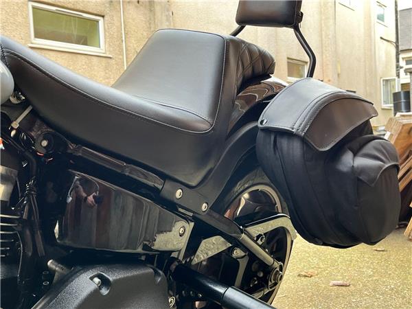 2020 Harley-Davidson Softail