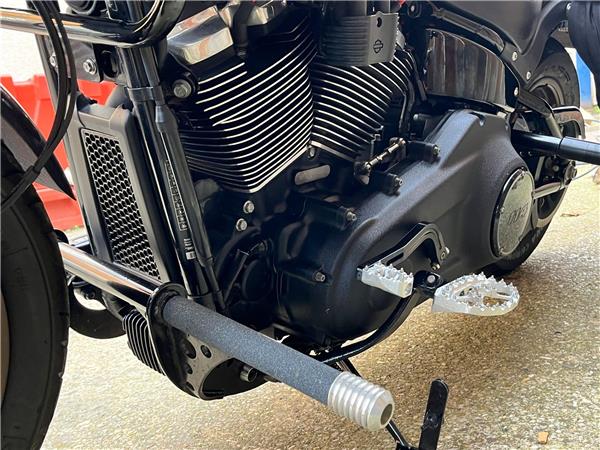 2020 Harley-Davidson Softail