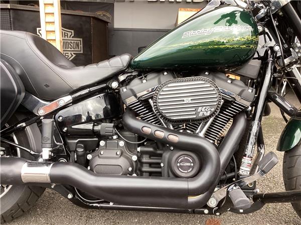 2019 Harley-Davidson Softail