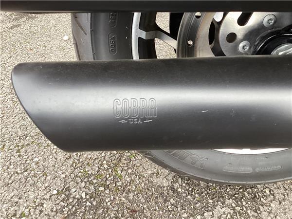 2019 Harley-Davidson Softail