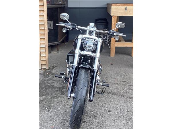 2025 Harley-Davidson Softail