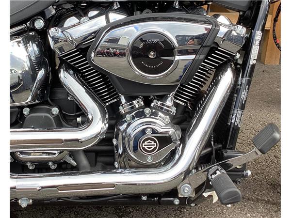 2025 Harley-Davidson Softail