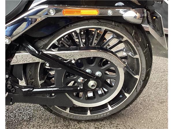 2025 Harley-Davidson Softail