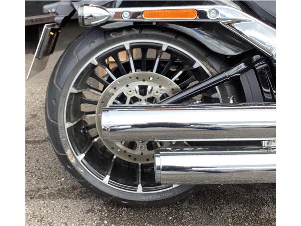 2025 Harley-Davidson Softail