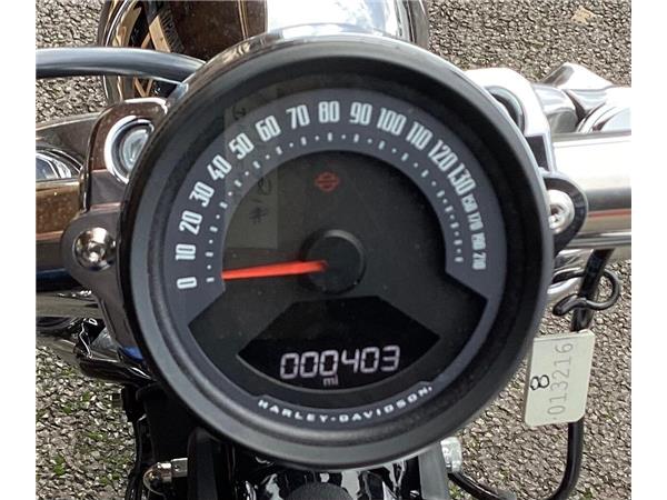 2025 Harley-Davidson Softail