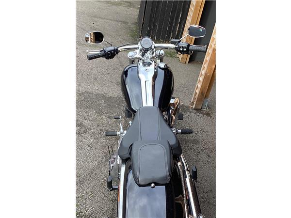 2025 Harley-Davidson Softail