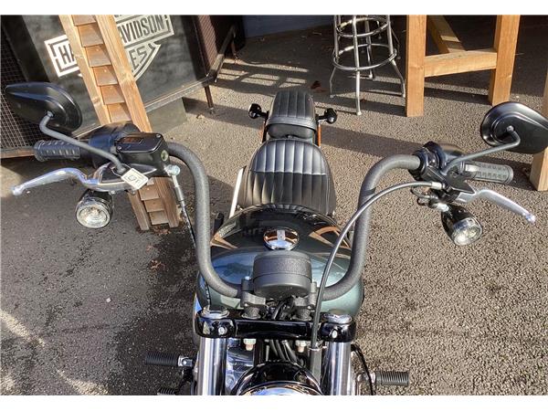 2025 Harley-Davidson Softail