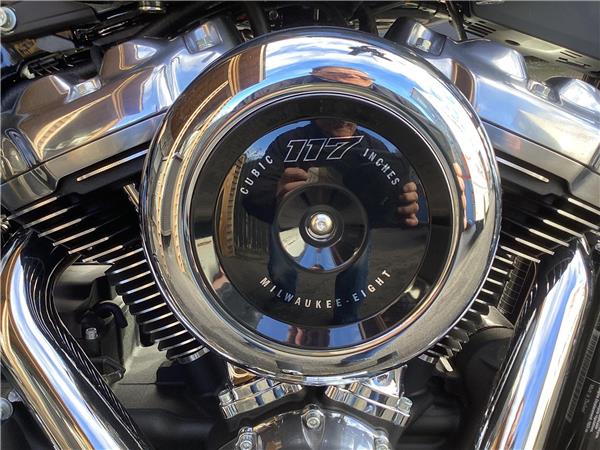 2025 Harley-Davidson Softail