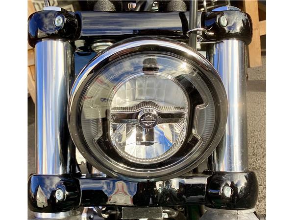 2025 Harley-Davidson Softail