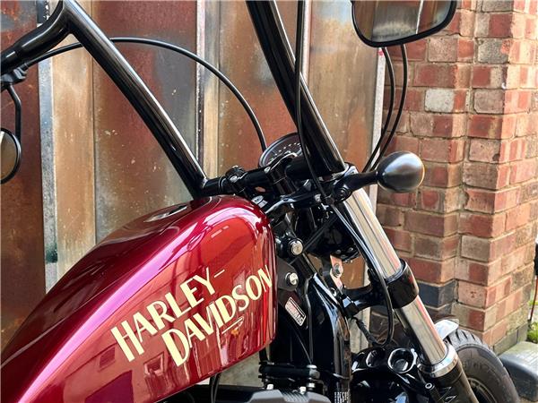 2019 Harley-Davidson Sportster