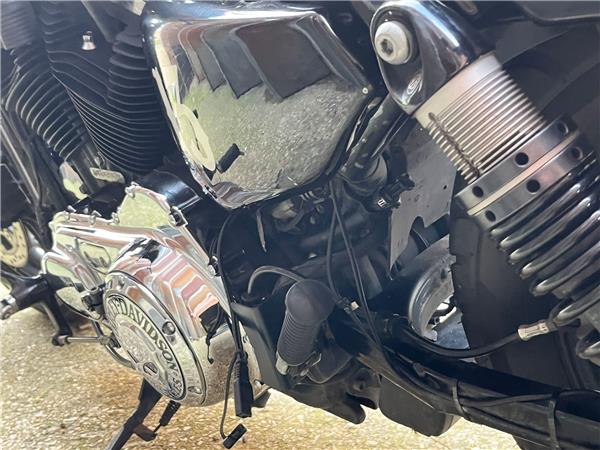 2019 Harley-Davidson Sportster