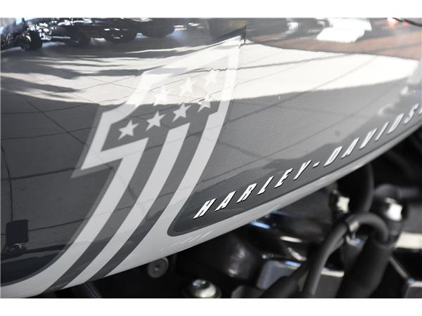 2025 HARLEY-DAVIDSON SOFTAIL FXBBS STREET BOB 114