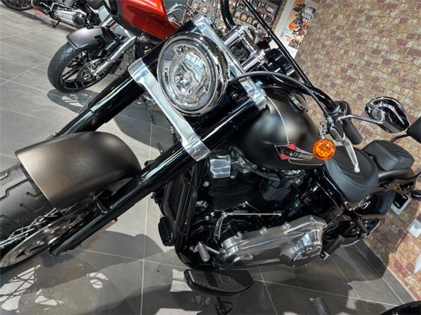 2021 HARLEY-DAVIDSON SLIM