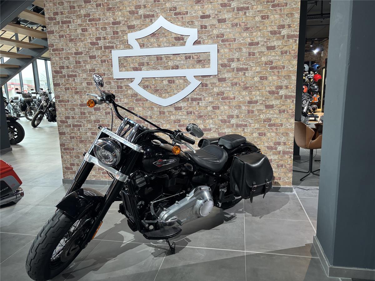 2019 HARLEY-DAVIDSON SLIM