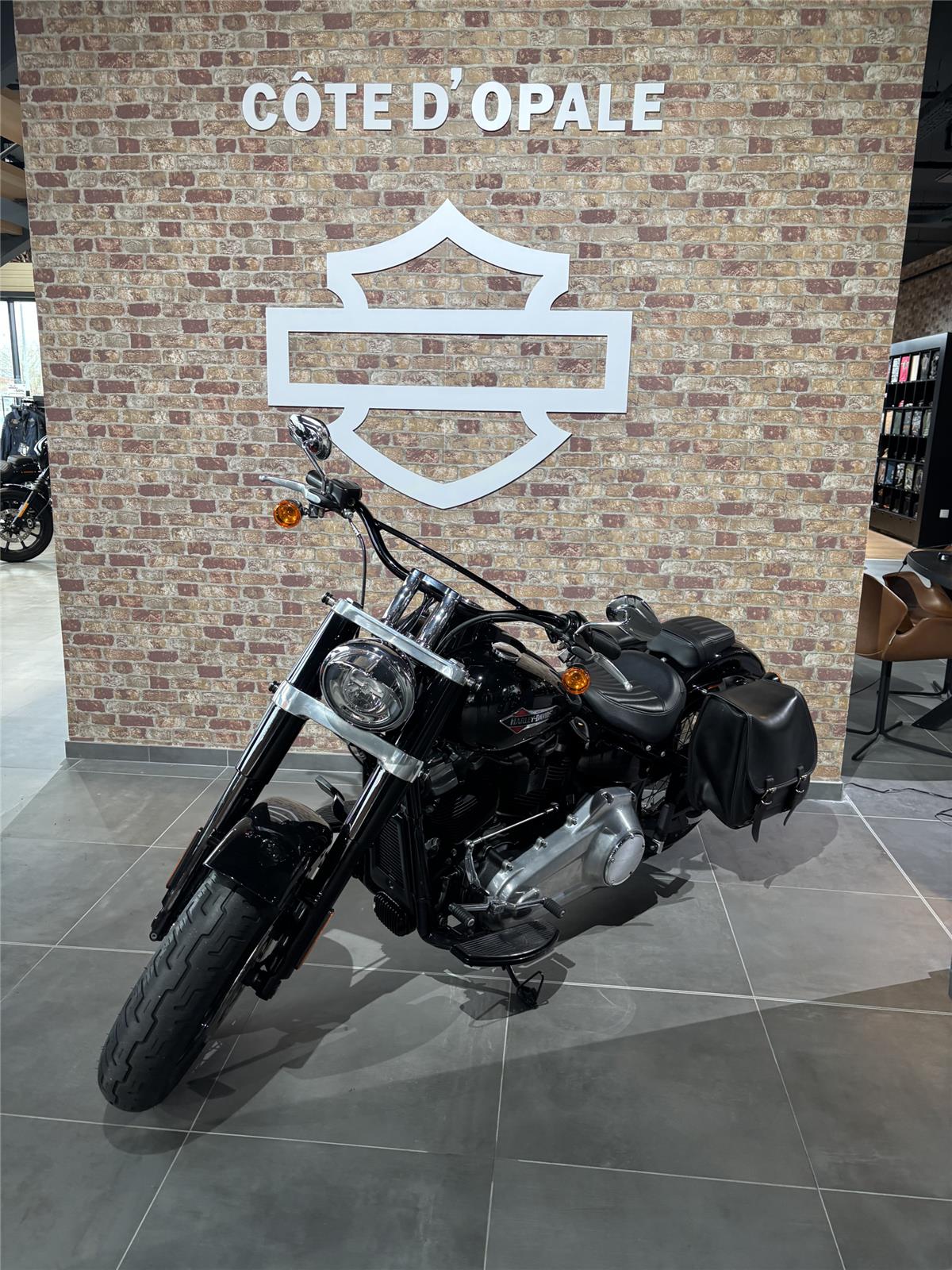 2019 HARLEY-DAVIDSON SLIM
