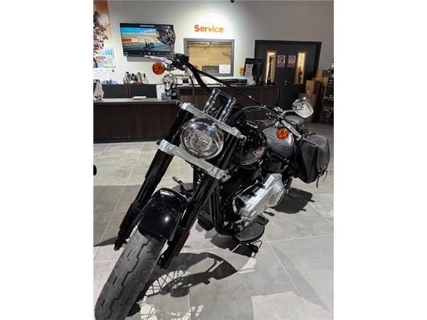 2019 HARLEY-DAVIDSON SLIM