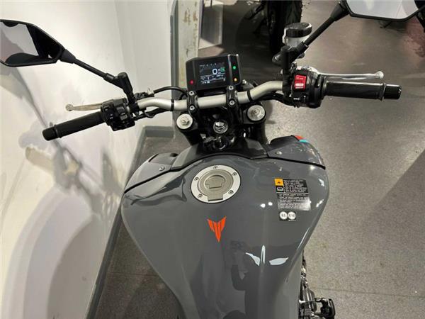 2022 Yamaha MT-09 GREY GREY