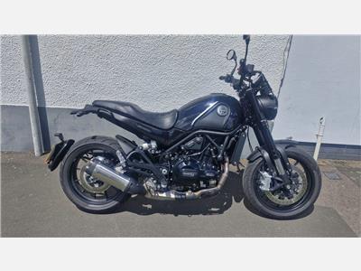 2025 Benelli Leoncino 500