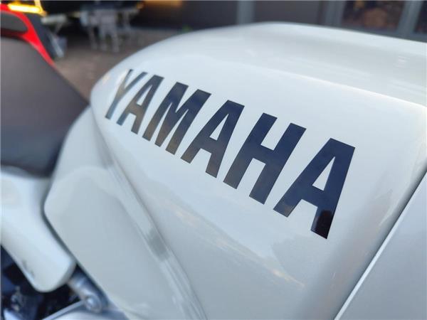 2024 Yamaha XSR900
