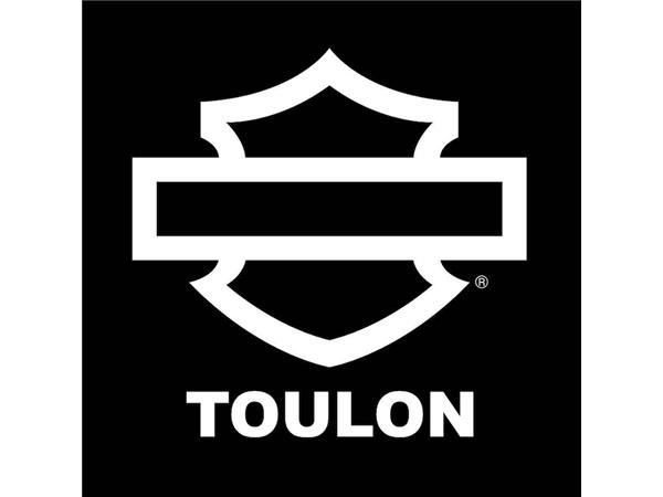 2019 HARLEY-DAVIDSON FAT BOB