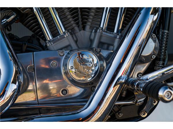 2017 Harley-Davidson SuperLow