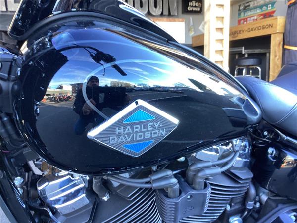 2025 Harley-Davidson Softail