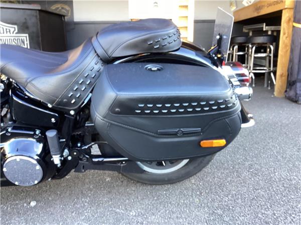 2025 Harley-Davidson Softail