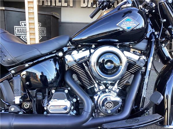 2025 Harley-Davidson Softail