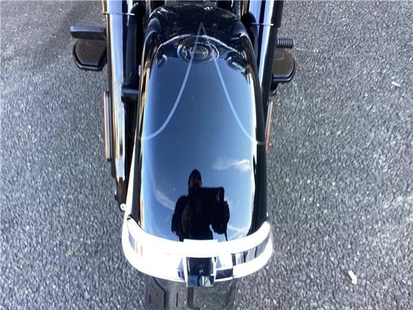 2025 Harley-Davidson Softail