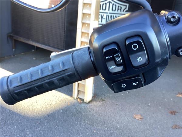 2025 Harley-Davidson Softail