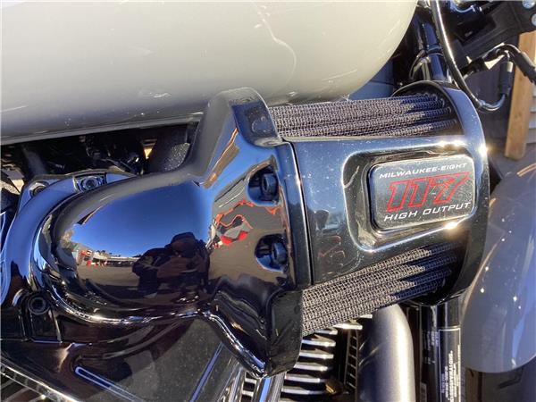 2025 Harley-Davidson Softail