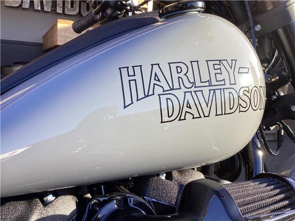 2025 Harley-Davidson Softail