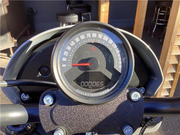 2025 Harley-Davidson Softail