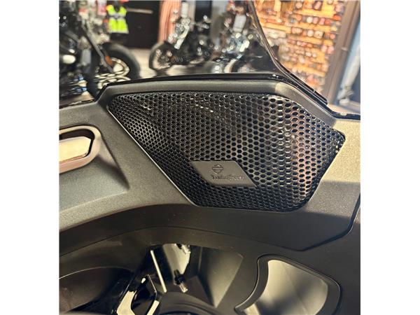 2025 HARLEY-DAVIDSON LOW RIDER