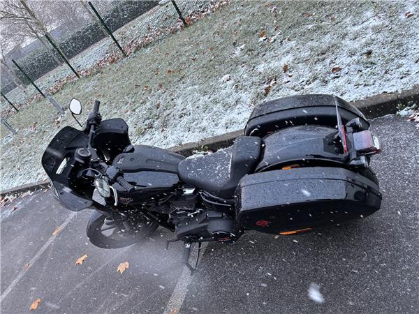 2025 HARLEY-DAVIDSON LOW RIDER