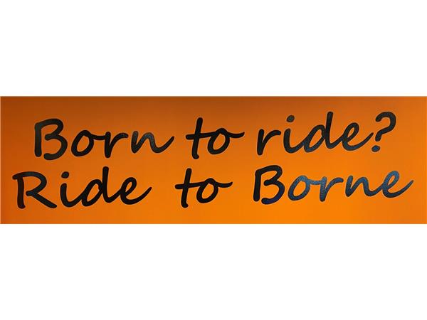 New Harley-Davidson XL 883 N Iron Sportster