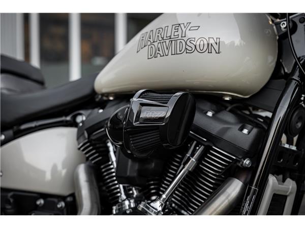 Harley-Davidson FXLRS LOW RIDER S 117 CUI - JEKILL&HYDE 