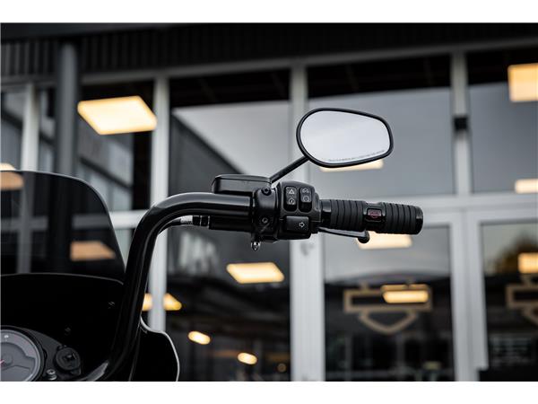 Harley-Davidson FXLRS LOW RIDER S 117 CUI - JEKILL&HYDE 